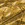yellow-camo