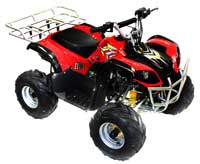 phoenix110mini