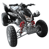 250STD