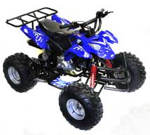 renegade-110-8-inch