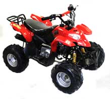 renegade-110-with-reverse